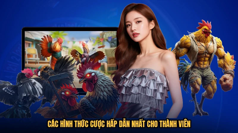 Các hình thức cược hấp dẫn nhất cho thành viên
