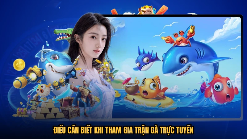 Điều cần biết khi tham gia trận gà trực tuyến