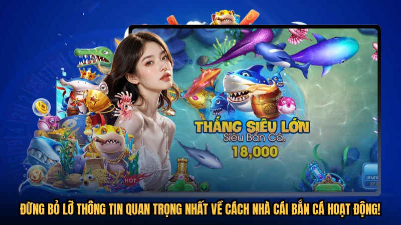 Đừng bỏ lỡ thông tin quan trọng nhất về cách nhà cái bắn cá hoạt động!