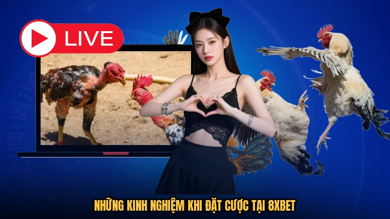 Những kinh nghiệm khi đặt cược tại 8XBET