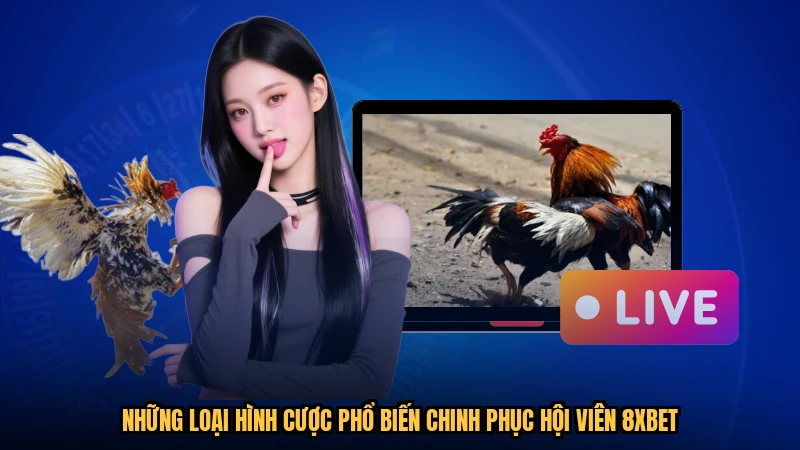 Những loại hình cược phổ biến chinh phục hội viên 8XBET