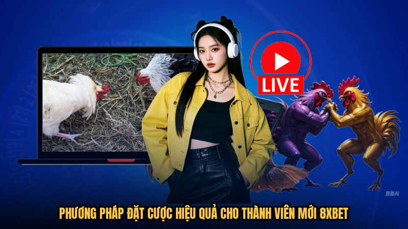 Phương pháp đặt cược hiệu quả cho thành viên mới 8XBET