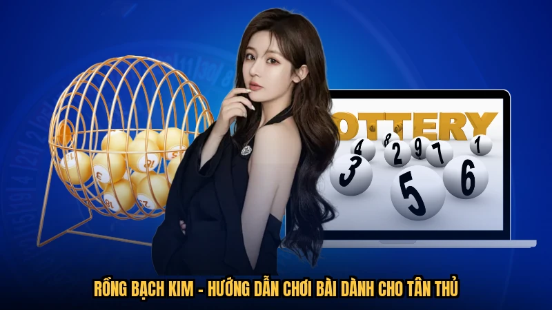Rồng Bạch Kim - Hướng Dẫn Chơi Bài Dành Cho Tân Thủ